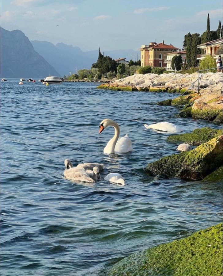 Villa Torre - Atmosfera Romantica Brenzone sul Garda Exterior foto